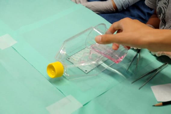 移植手技体験(皮膚)