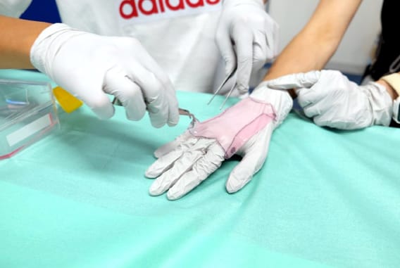 移植手技体験(皮膚)