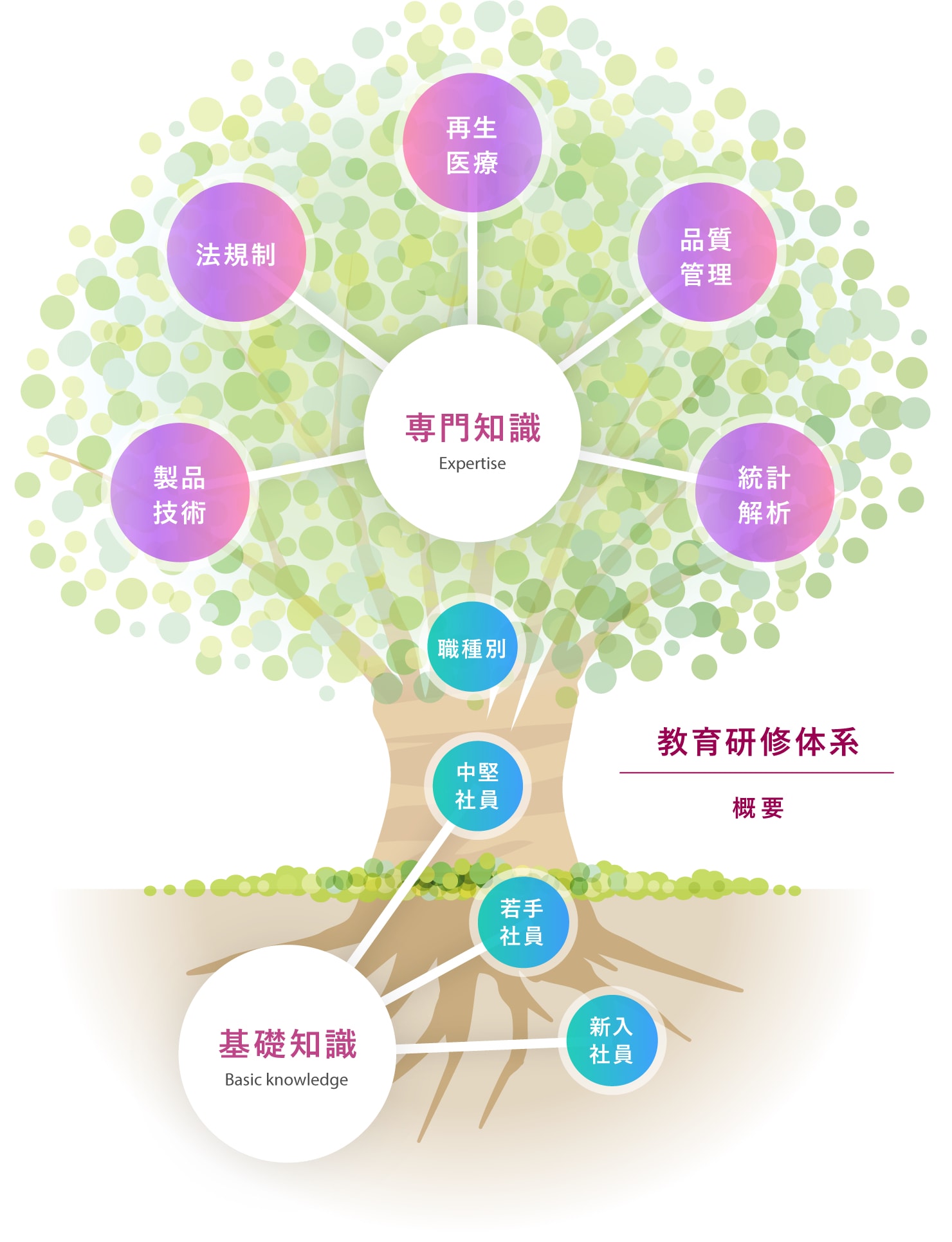 教育研修体系の概要イメージ図