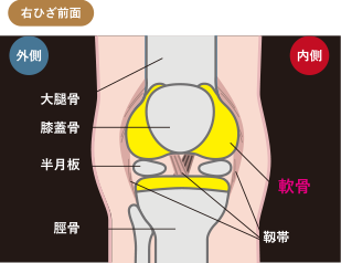 右ひざ前面