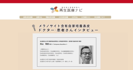 メラノサイト早わかり