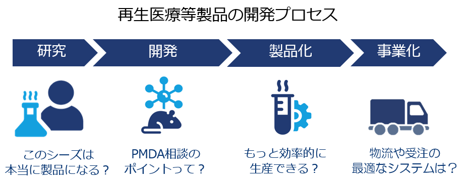 再生医療等製品の開発プロセス、受注実績