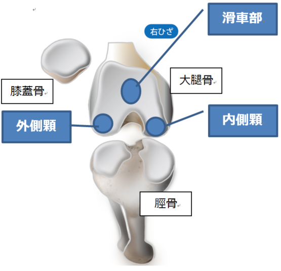 右ひざ