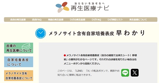 メラノサイト早わかり